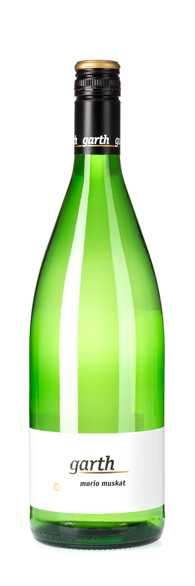 2023 Morio Muskat halbtrocken
